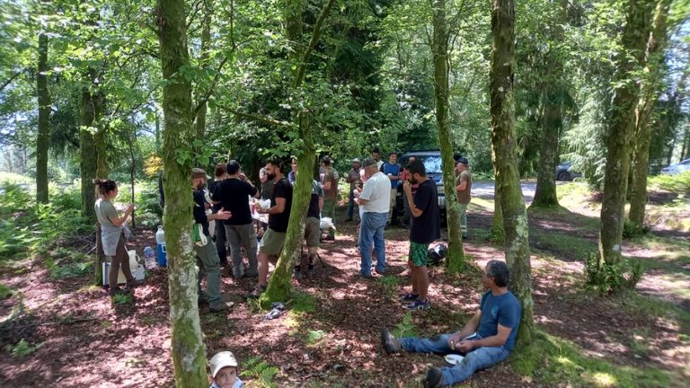 Ação de controlo das plantas invasoras em Soajo