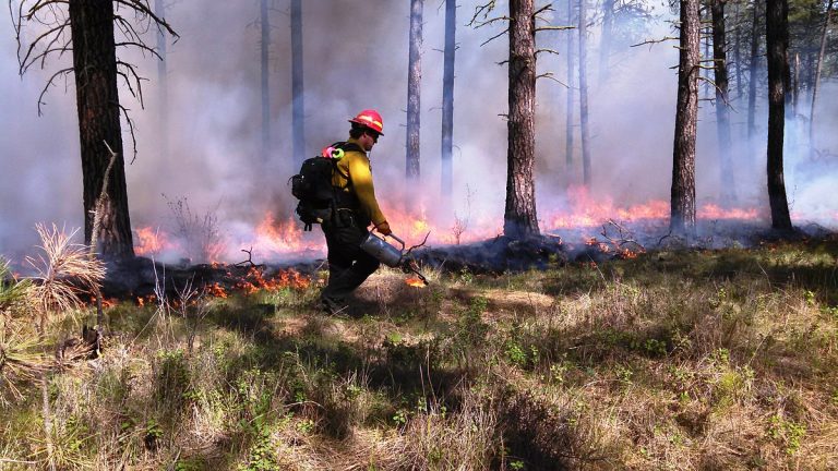 Oposição denuncia “falta de investimento no mundo rural” PS defende medidas para “reduzir número de ignições e de incêndios rurais no concelho”