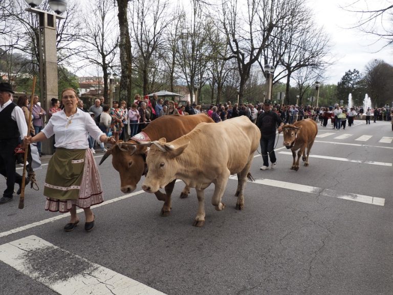 Desfile dos “bois da Páscoa” como manda a tradição